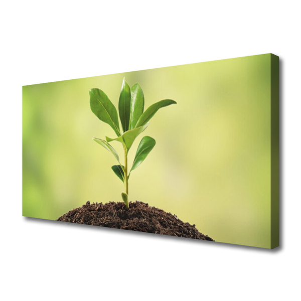 Canvas print Growth floral green