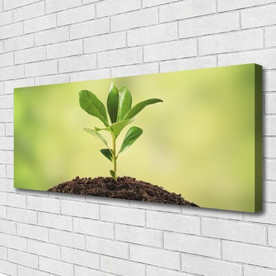 Canvas print Growth floral green