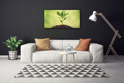 Canvas print Growth floral green