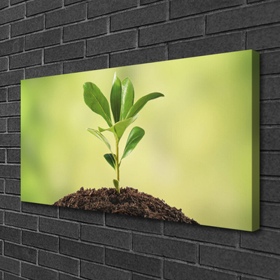 Canvas print Growth floral green