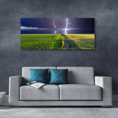 Canvas print Field path lightning landscape grey green purple white