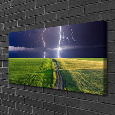 Canvas print Field path lightning landscape grey green purple white