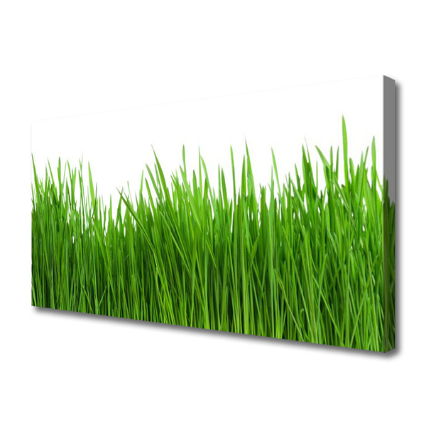 Canvas print Grass nature green