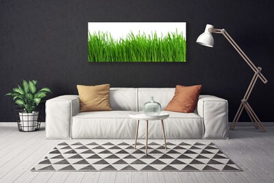 Canvas print Grass nature green