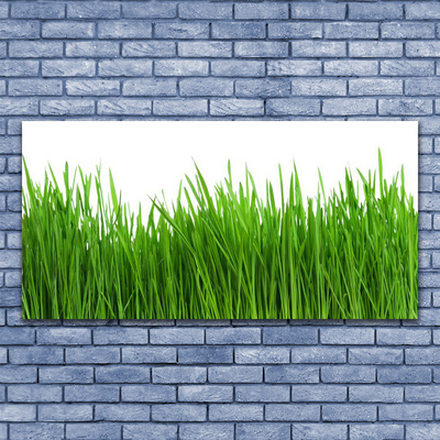 Canvas print Grass nature green