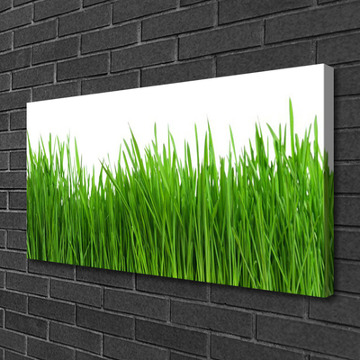 Canvas print Grass nature green