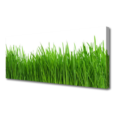 Canvas print Grass nature green