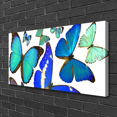 Canvas print Butterfly nature blue black purple