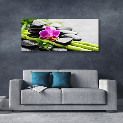 Canvas print Bamboo tube flower stones art green red black