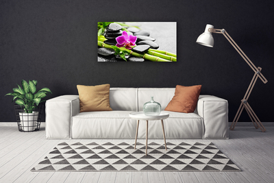 Canvas print Bamboo tube flower stones art green red black