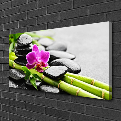 Canvas print Bamboo tube flower stones art green red black