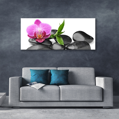 Canvas print Flower stones art pink black