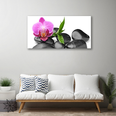 Canvas print Flower stones art pink black