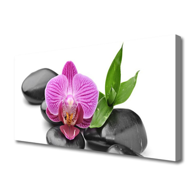 Canvas print Flower stones art pink black