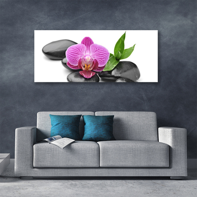 Canvas print Flower stones art pink black