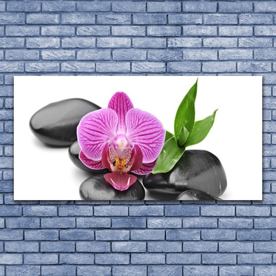 Canvas print Flower stones art pink black