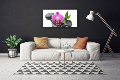 Canvas print Flower stones art pink black