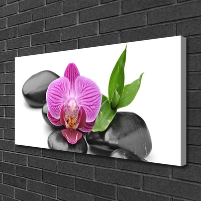 Canvas print Flower stones art pink black