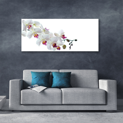 Canvas print Flowers floral white