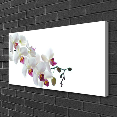 Canvas print Flowers floral white