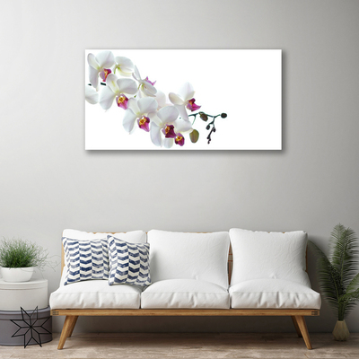 Canvas print Flowers floral white