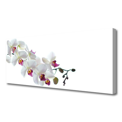 Canvas print Flowers floral white