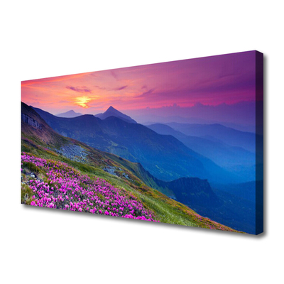 Canvas print Mountains meadow flowers landscape blue pink green yellow