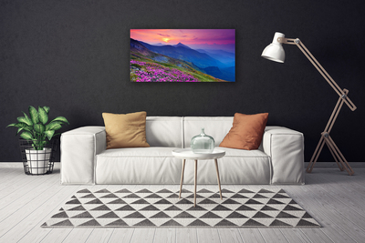 Canvas print Mountains meadow flowers landscape blue pink green yellow