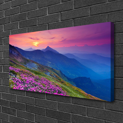 Canvas print Mountains meadow flowers landscape blue pink green yellow