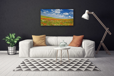 Canvas print Meadow flowers landscape red white green