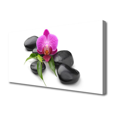 Canvas print Flower stones art pink black