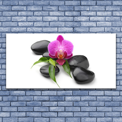 Canvas print Flower stones art pink black