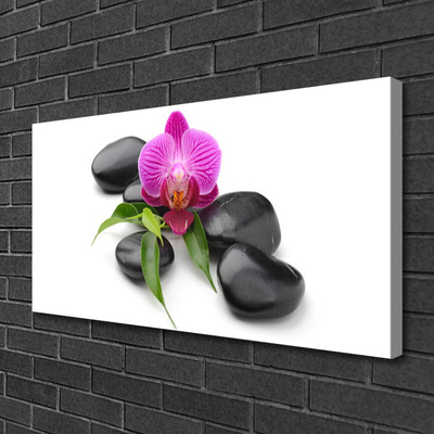 Canvas print Flower stones art pink black