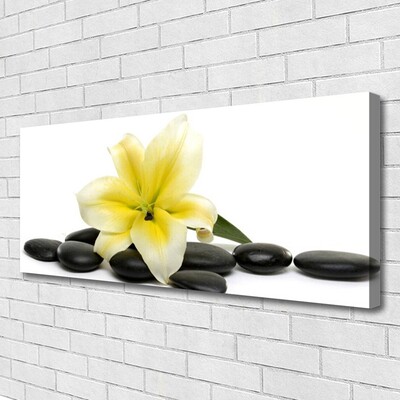 Canvas print Flower stones art white green black