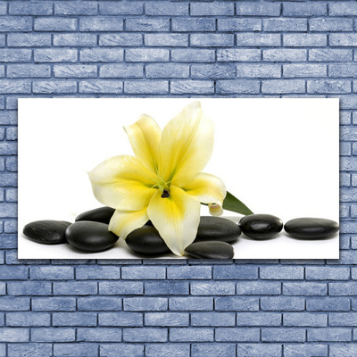 Canvas print Flower stones art white green black