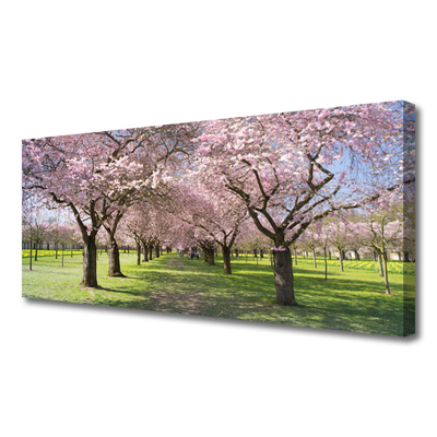 Canvas print Footpath trees nature brown green pink