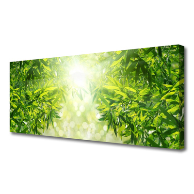 Canvas print Leaves nature green