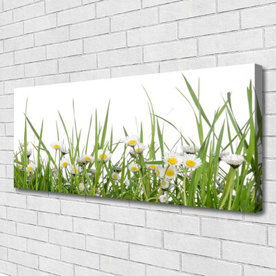 Canvas print Grass daisies nature green white yellow