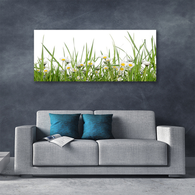 Canvas print Grass daisies nature green white yellow