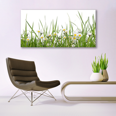 Canvas print Grass daisies nature green white yellow