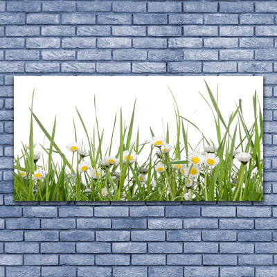 Canvas print Grass daisies nature green white yellow