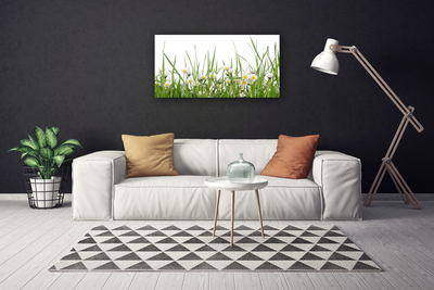 Canvas print Grass daisies nature green white yellow