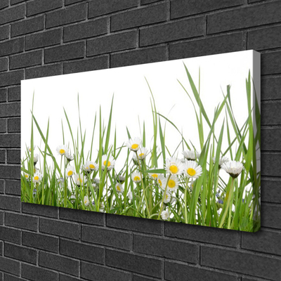 Canvas print Grass daisies nature green white yellow