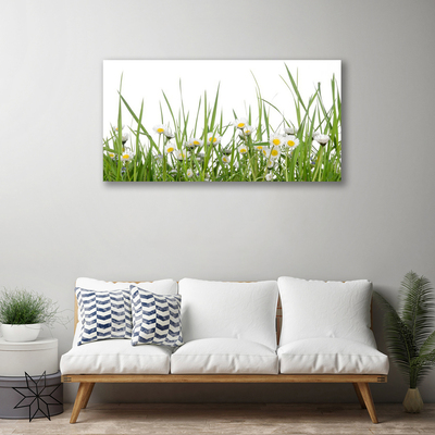 Canvas print Grass daisies nature green white yellow