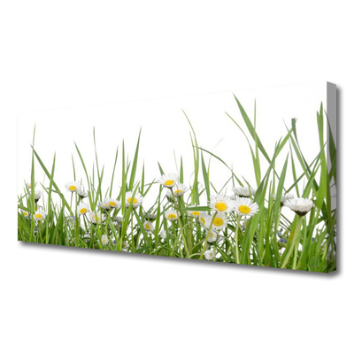 Canvas print Grass daisies nature green white yellow