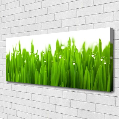 Canvas print Grass nature green