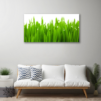 Canvas print Grass nature green