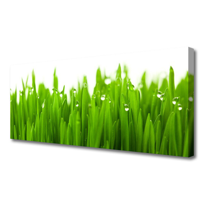 Canvas print Grass nature green