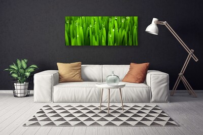 Canvas print Grass nature green