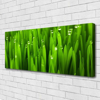 Canvas print Grass nature green